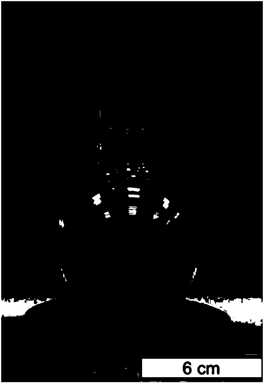 Pure carbon nanodots, preparation method thereof and LED light source