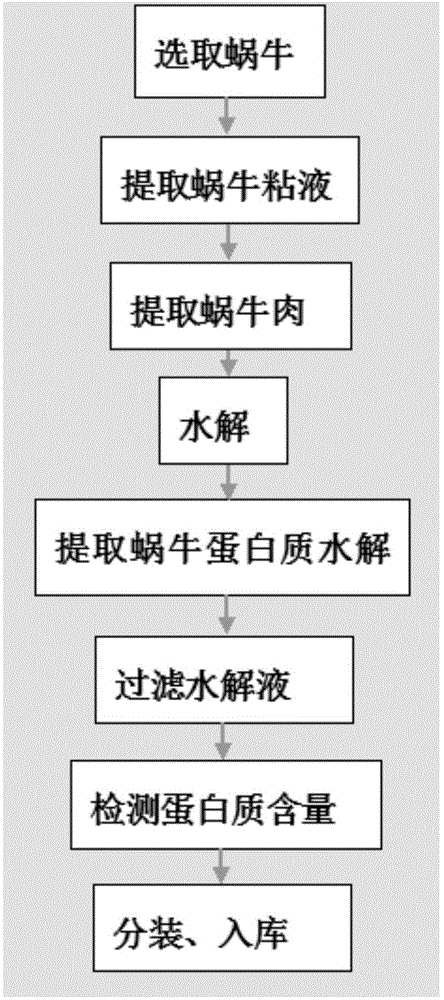 Extracting method for snail protein powder