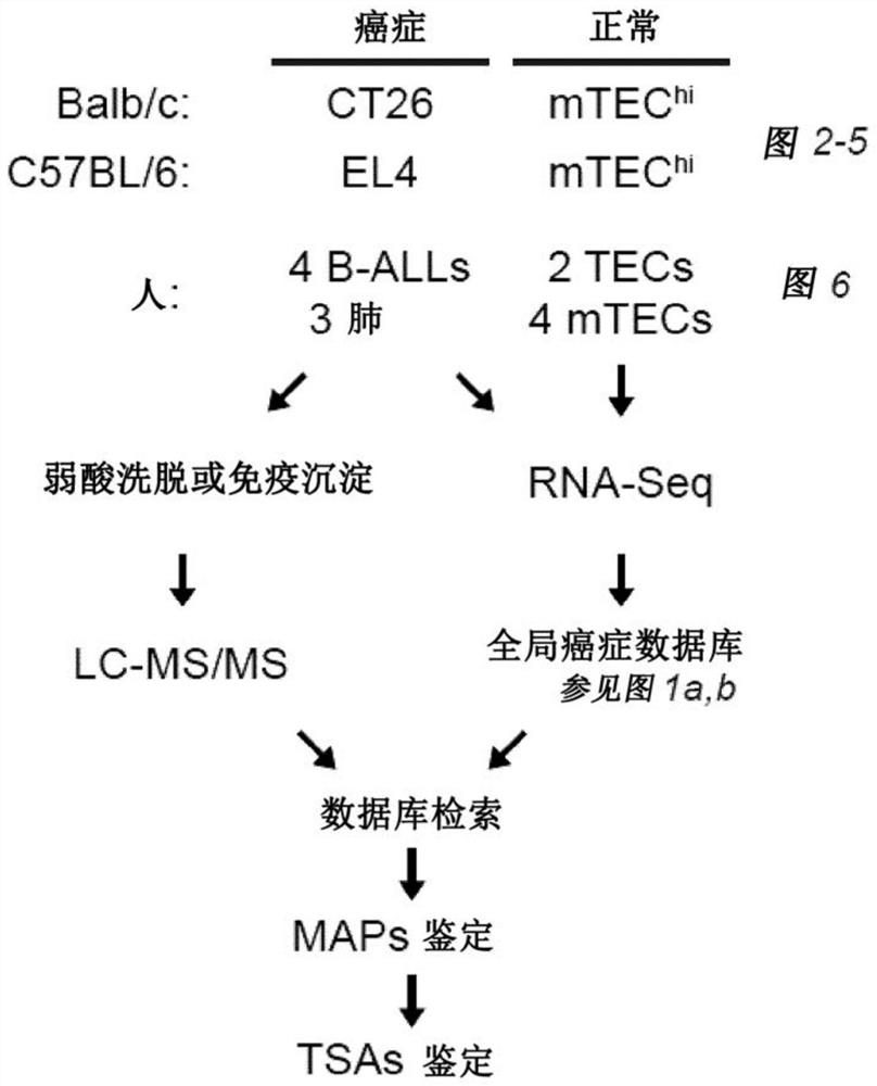 Proteogenomic-based method for identifying tumor-specific antigens