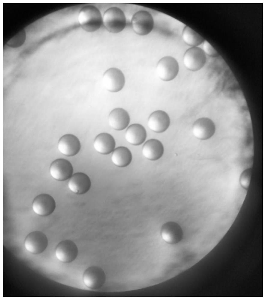 Surface-enhanced Raman substrate material and preparation method for detecting water content in organic solvents