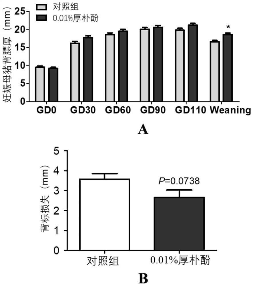 Application of magnolol in improving reproductive performance of sows