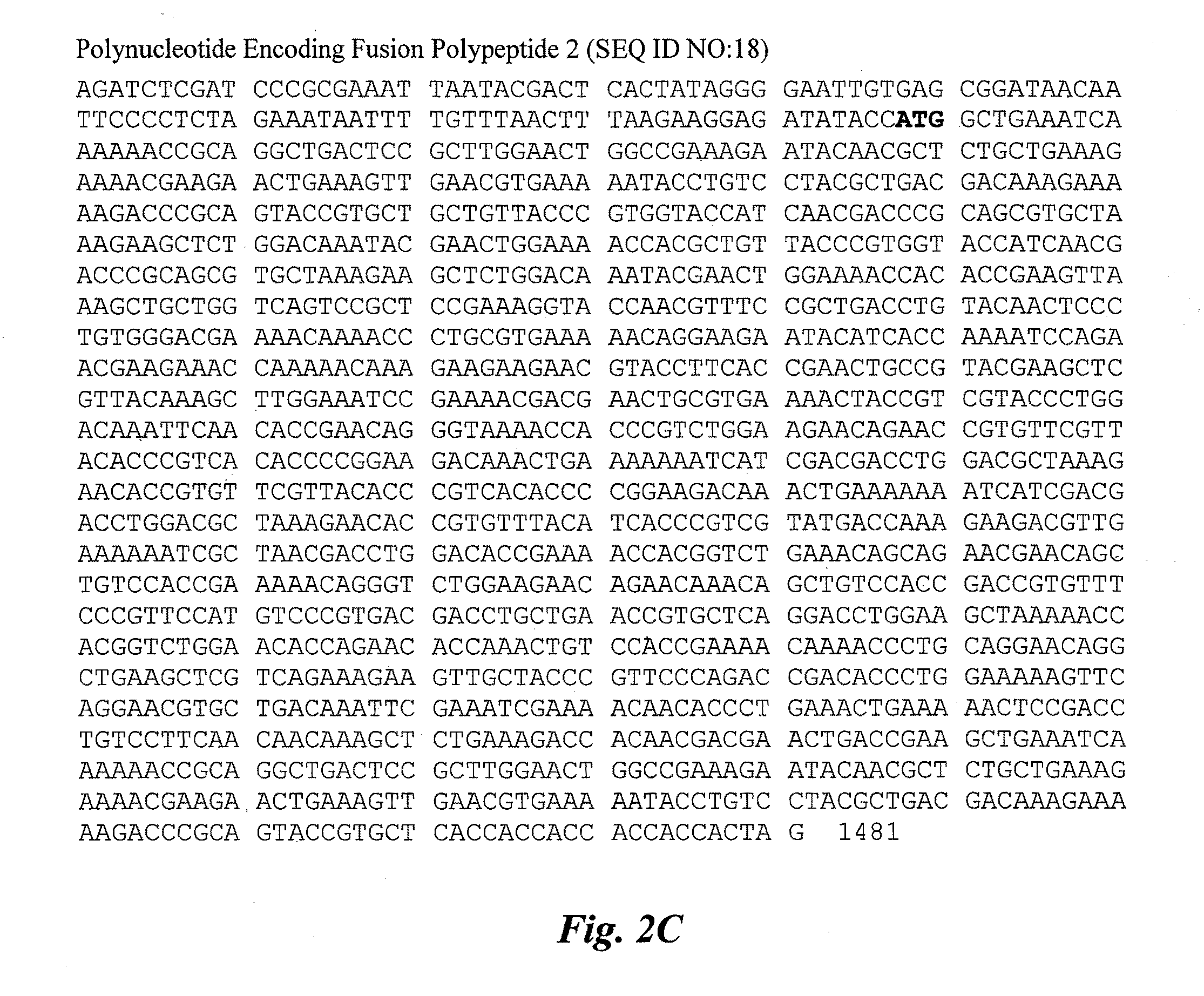 Group a streptococcus multivalent vaccine