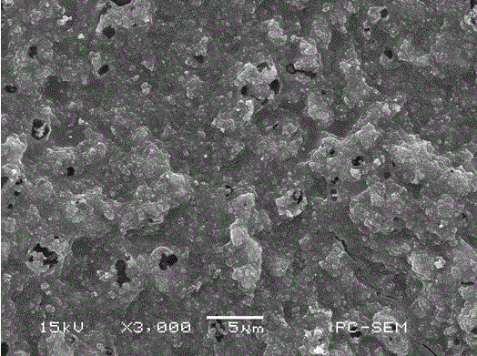 Gel polymer binder for lithium sulfur battery electrode material and preparation method thereof