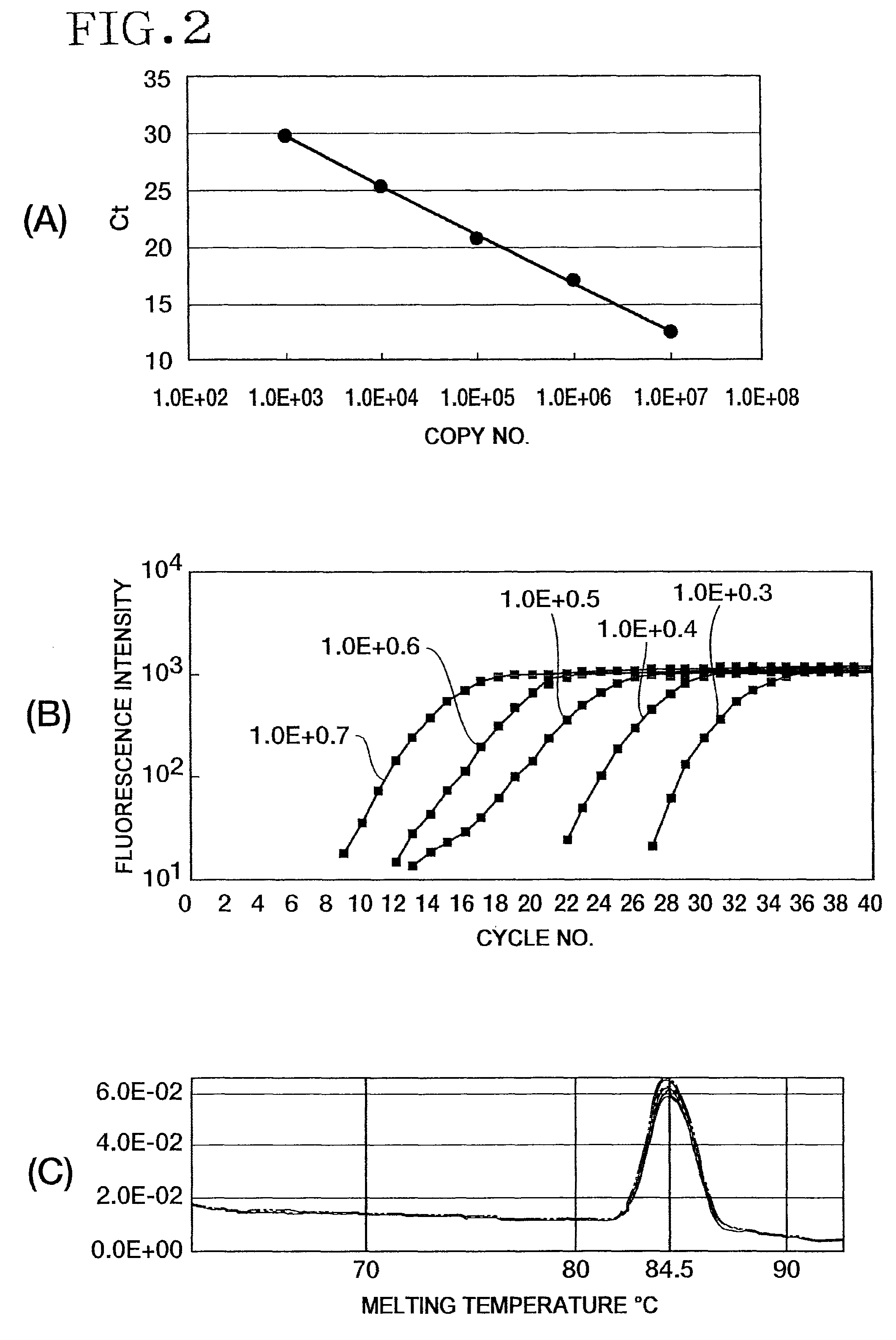 Method of detecting or quantitating endogenous wheat DNA and method of determining contamination rate of genetically modified wheat in test sample