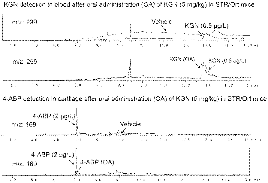 Application of chemical small molecule 4-aminobiphenyl in prevention and treatment of osteoarthritis