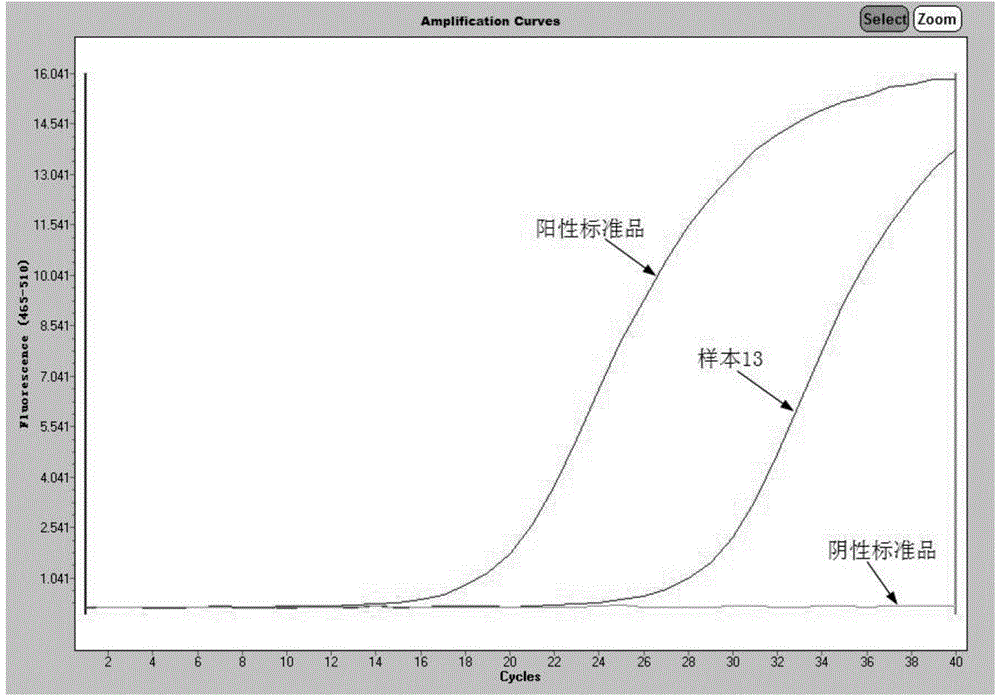 Primers and kit for detecting aminoglycoside drug-resistance genes of bacteria