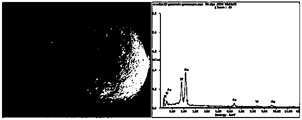 A kind of preparation method of composite bio-based immobilized biodiesel catalyst