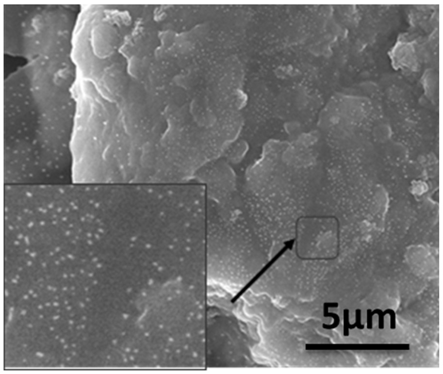 Ion exchange hybrid membrane for vanadium battery and preparation method thereof