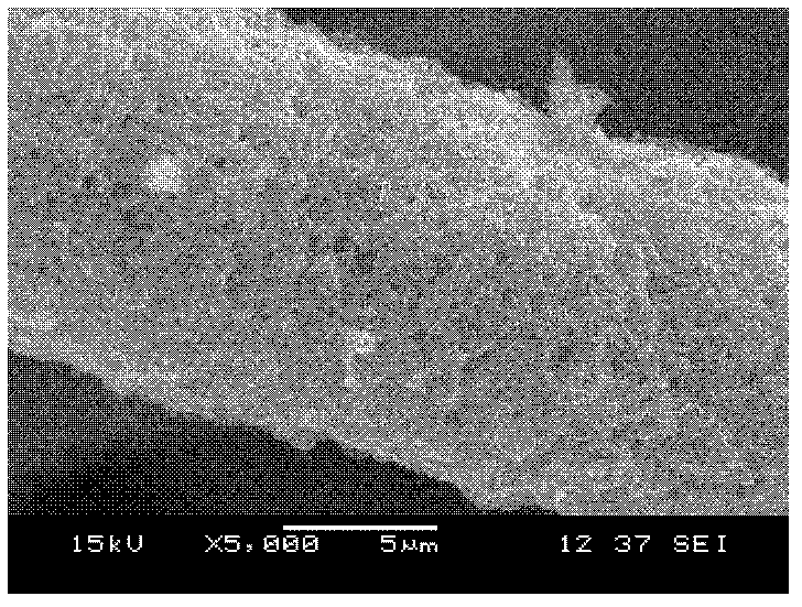 Method for preparing hydroxyapatite bioactive coating