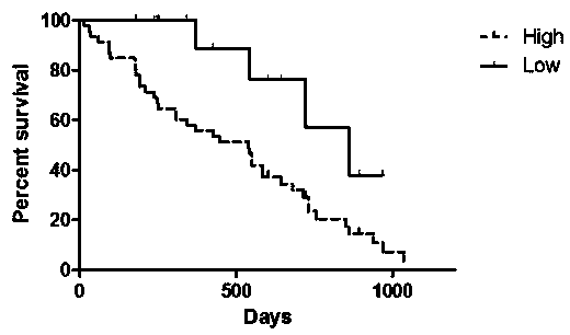 Biomarker long-chain non-coding RNA LINC01728 and kit for predicting prognosis of colon cancer