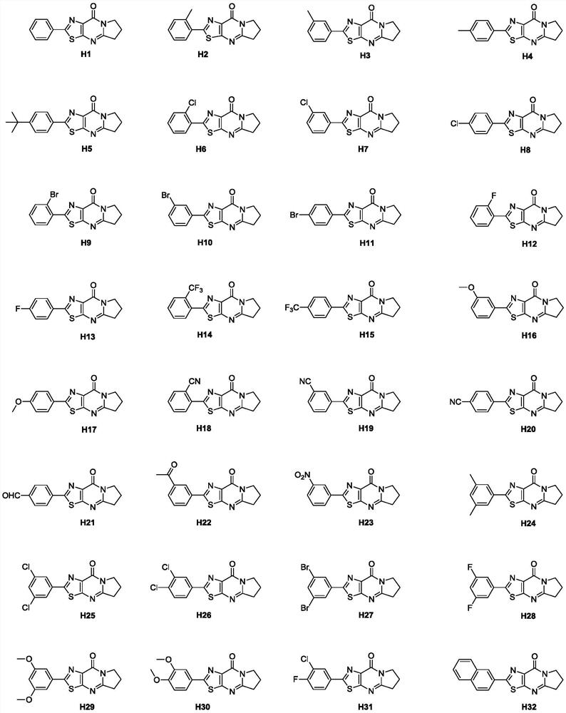 Tricyclic thiazolo[5,4-d]pyrimidone derivative and application thereof