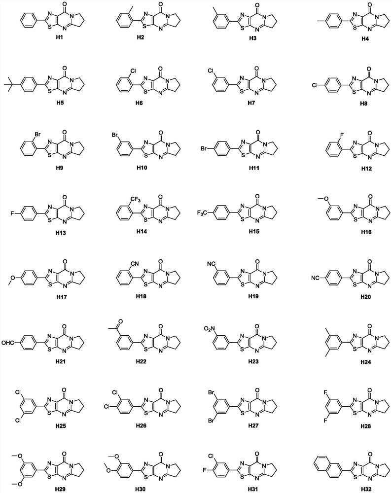 Tricyclic thiazolo[5,4-d]pyrimidone derivative and application thereof