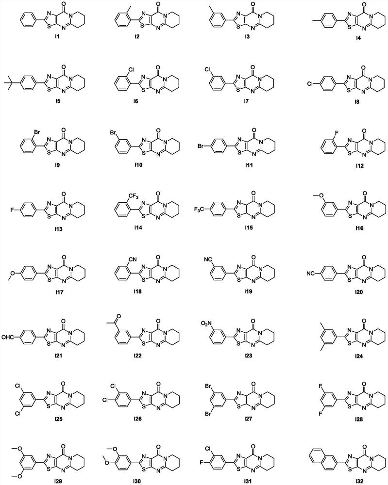 Tricyclic thiazolo[5,4-d]pyrimidone derivative and application thereof