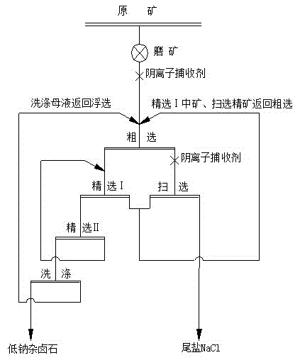 Technology for extracting potassium and removing sodium from high-sodium polyhalite ore