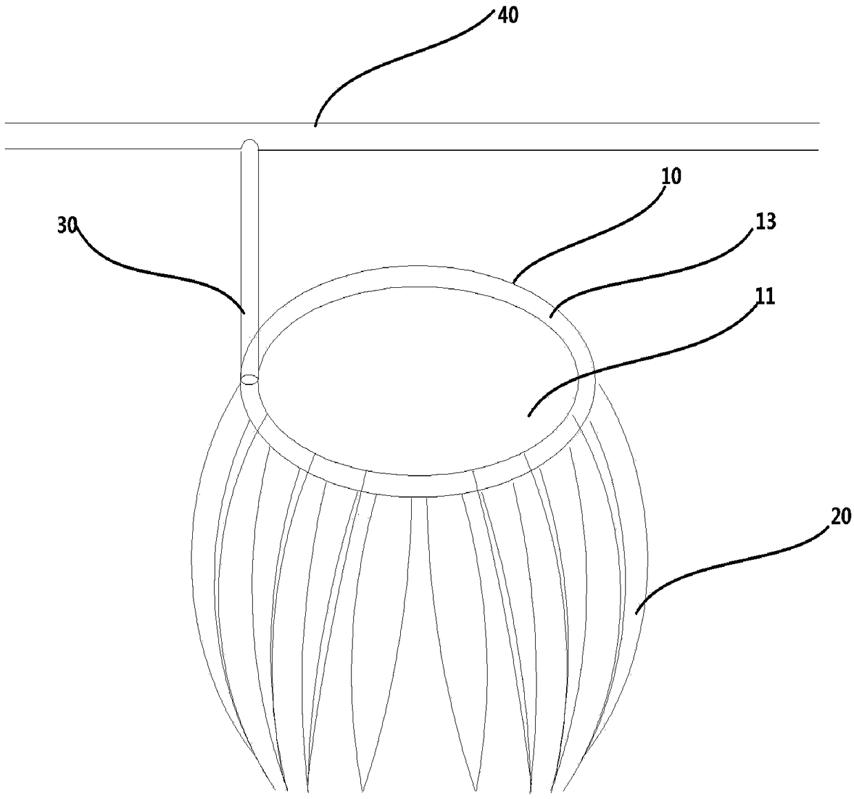 Sapling transplanter