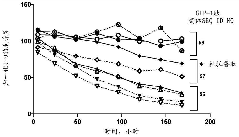 Glucagon like peptide 1 (glp-1) fusion peptide coupled cyclic peptide tyrosine tyrosine conjugates and uses thereof