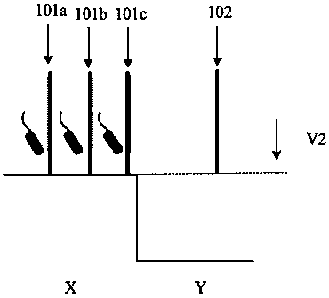 Method and device for measuring thickness of membrane