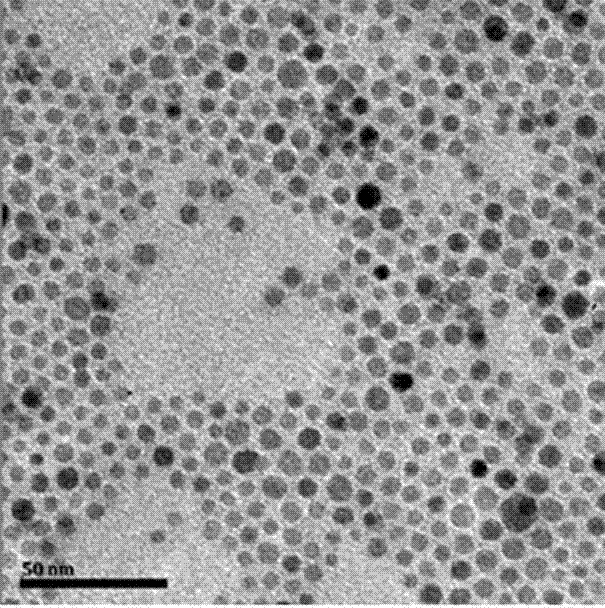 Trace copper ion visual rapid detection method