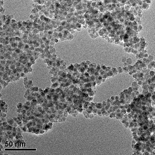 Trace copper ion visual rapid detection method