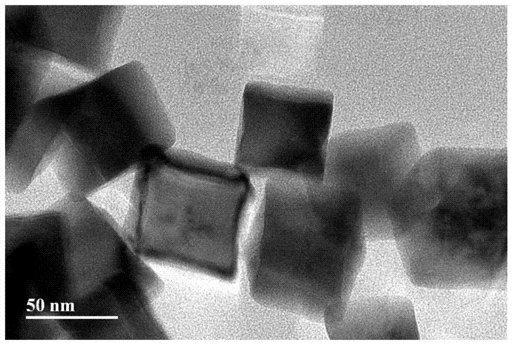 Palladium nanoparticles and preparation method thereof