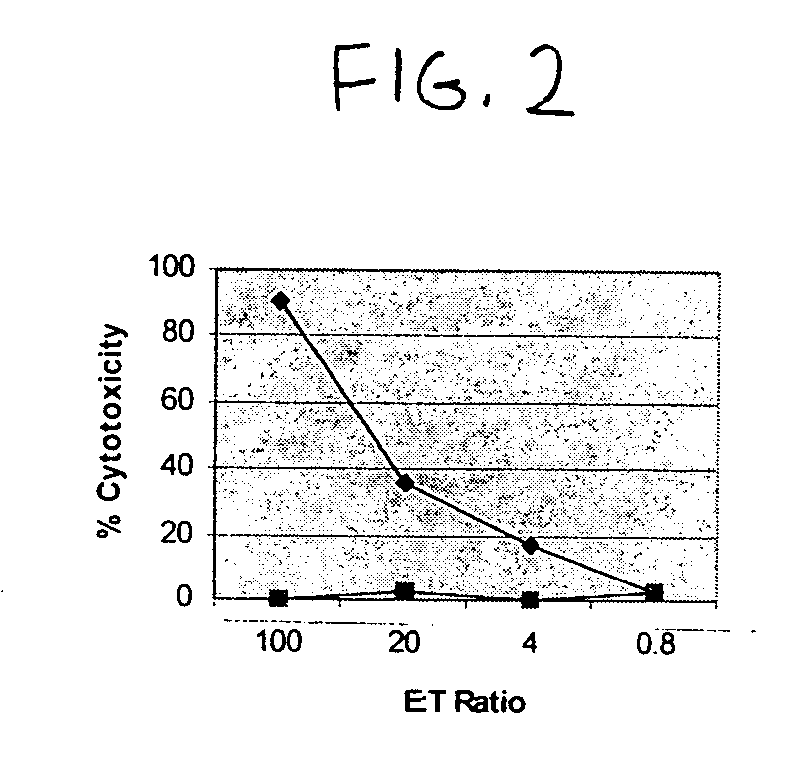 Polyomavirus cellular epitopes and uses therefor