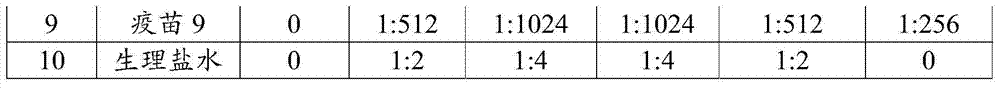 Vaccine composition, preparation method and application thereof