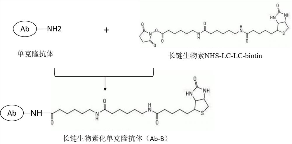 Immunofluorescence chromatography kit and method for simultaneous detection of aflatoxin b1 and zearalenone in vegetable oil