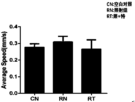 Application of terazosin in medicine for treating radioactive cognitive dysfunction