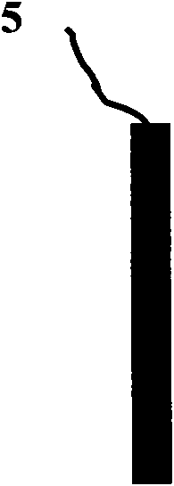 Common-current collector plate group with positive plates opposite to negative plates and common-current collector module battery