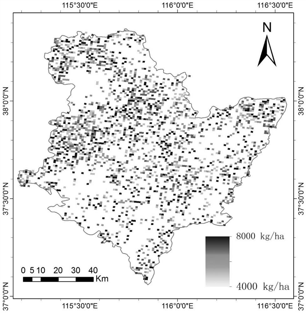 Crop Yield Estimation Method Based on Data Assimilation of Dual Polarization Synthetic Aperture Radar and Crop Model