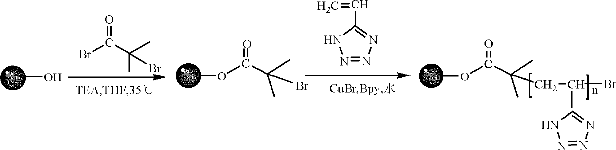 Polyvinyl tetrazole separation medium, preparation method and application thereof