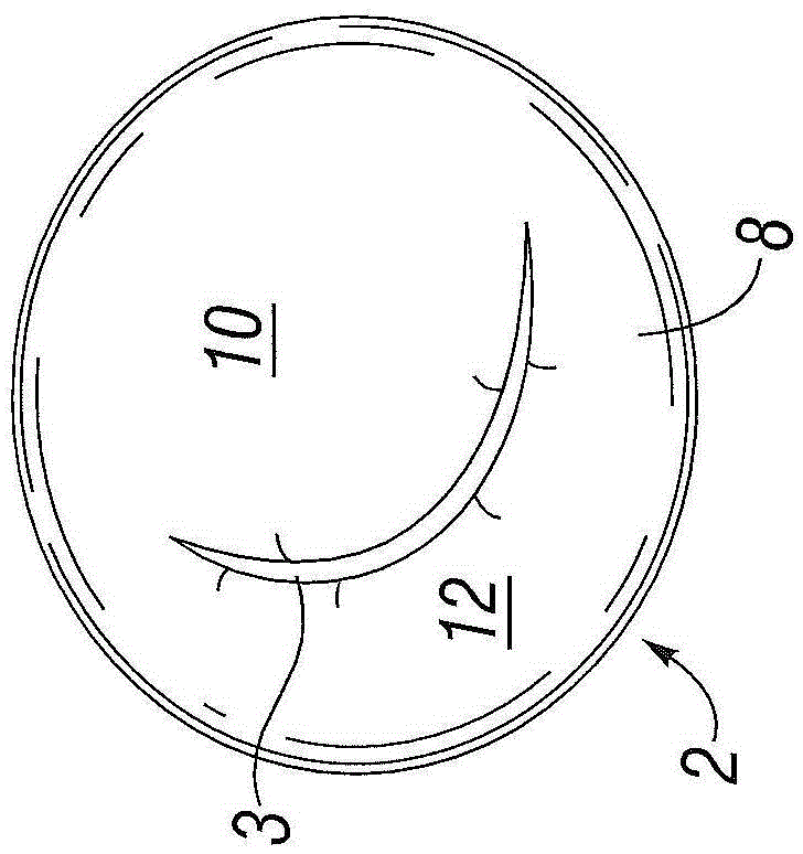 Prosthetic valve for mitral valve replacement