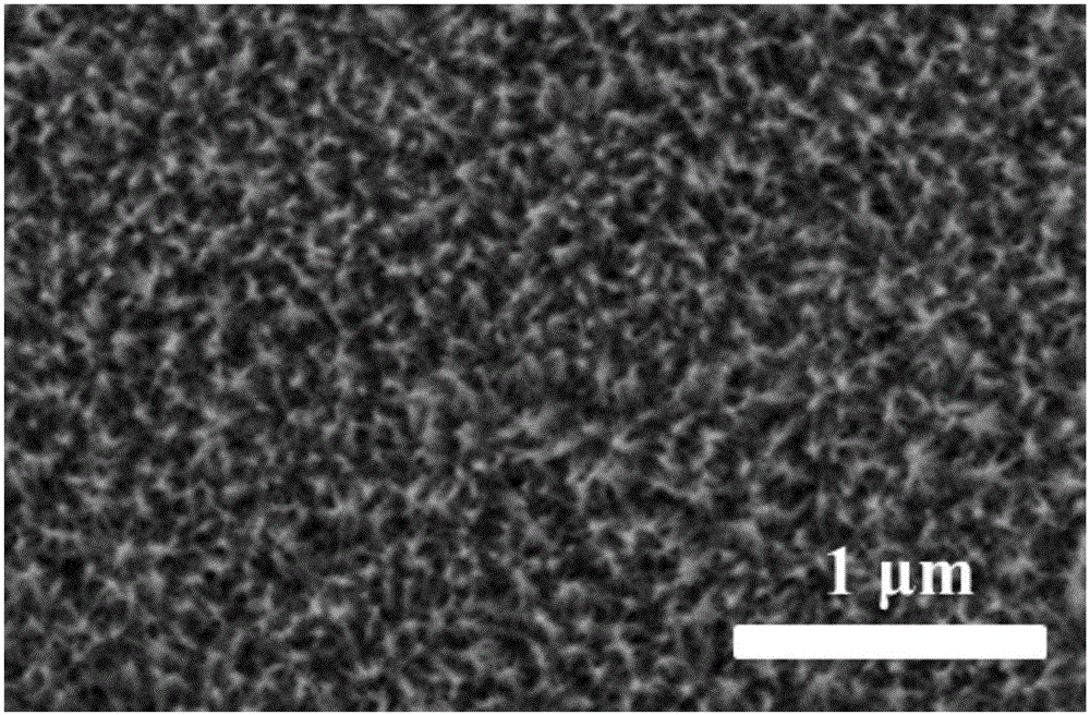 Platinum nano wire modified microelectrode array and preparation method thereof