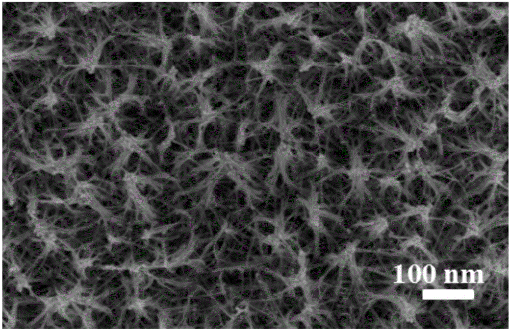 Platinum nano wire modified microelectrode array and preparation method thereof