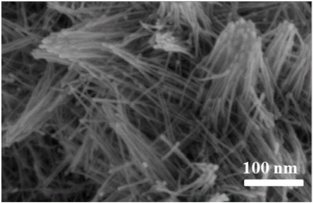 Platinum nano wire modified microelectrode array and preparation method thereof