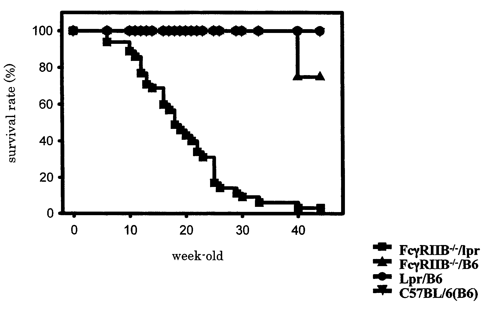 Non-human animal model of systemic lupus erythematosus