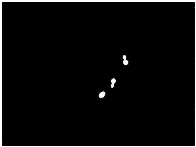 Strong broad-spectrum promoter and application thereof