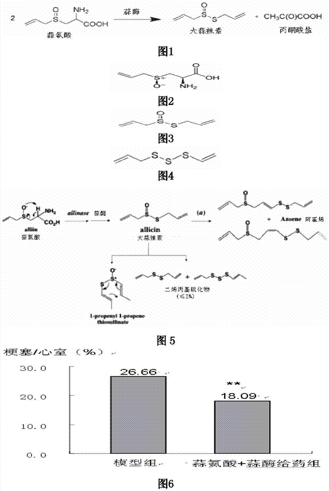 Application of allicin multi-layer enteric-coated tablets as medicine for the treatment of myocardial infarction