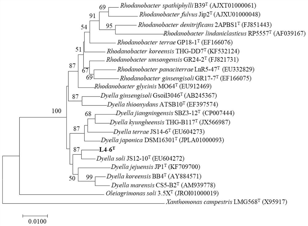 A fermented carbonized walnut shell particle and its preparation method and application