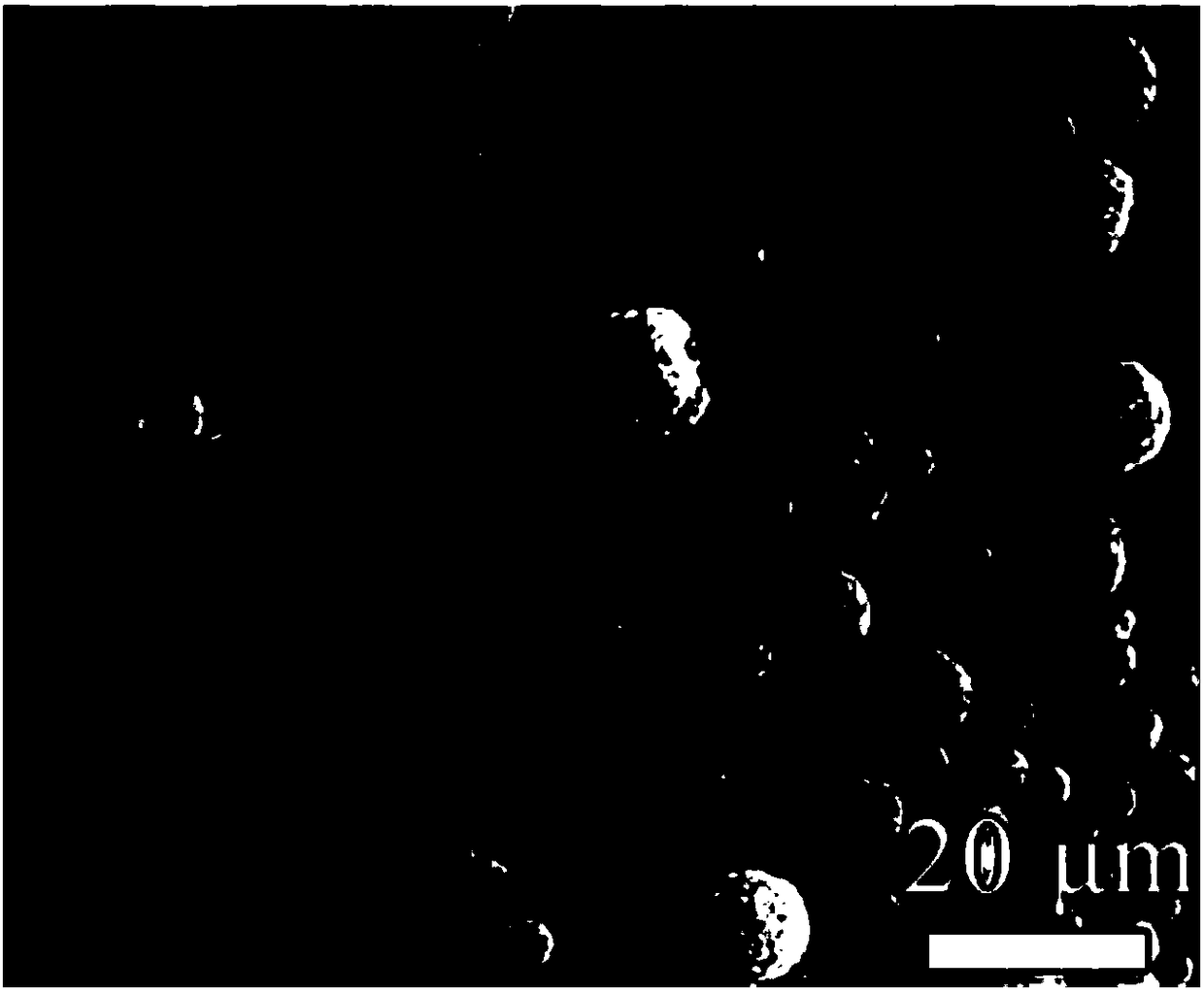 Negative electrode material for potassium-ion battery, preparation method thereof and negative electrode sheet