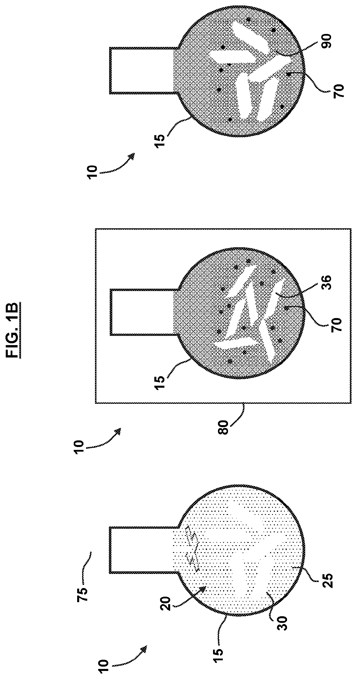 Exfoliating layered transition metal dichalcogenides