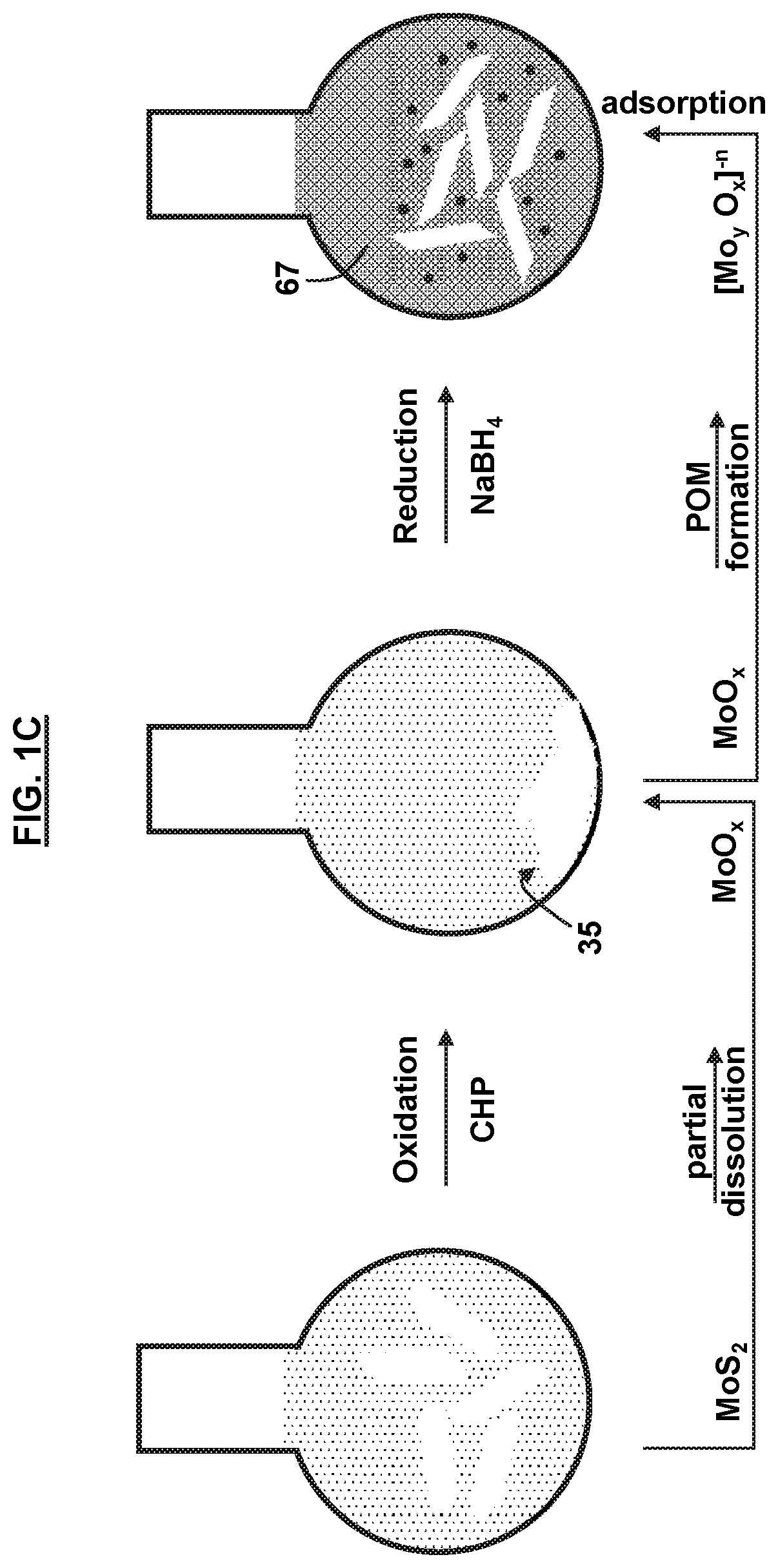 Exfoliating layered transition metal dichalcogenides