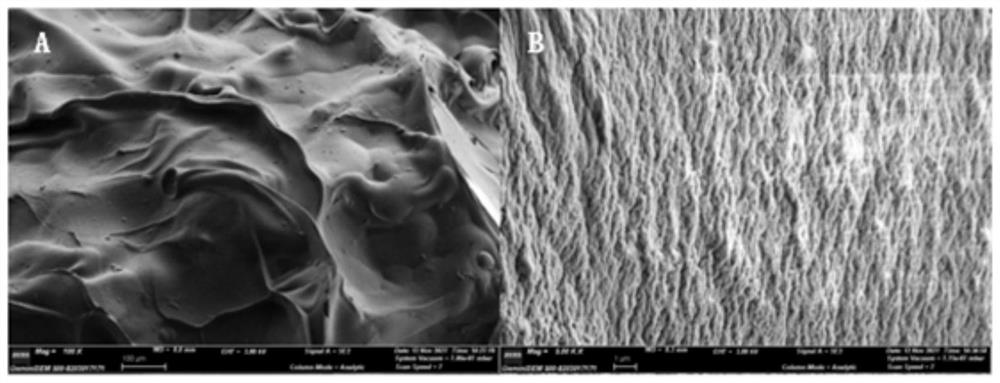 Preparation method of calcium alginate gel balls