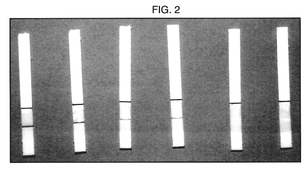 Assay using porosity-reduction to inhibit migration