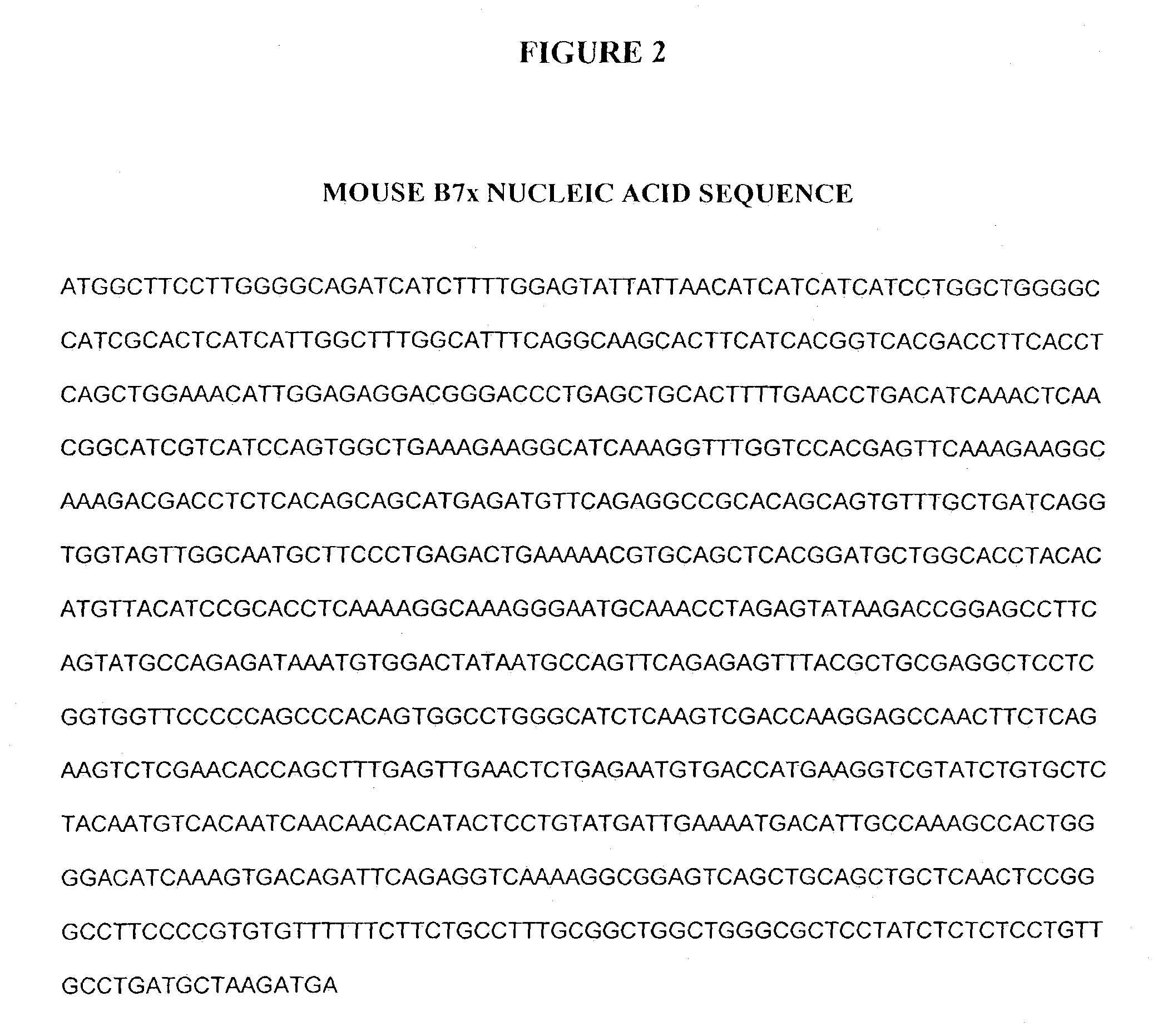 BTLA nucleic acids