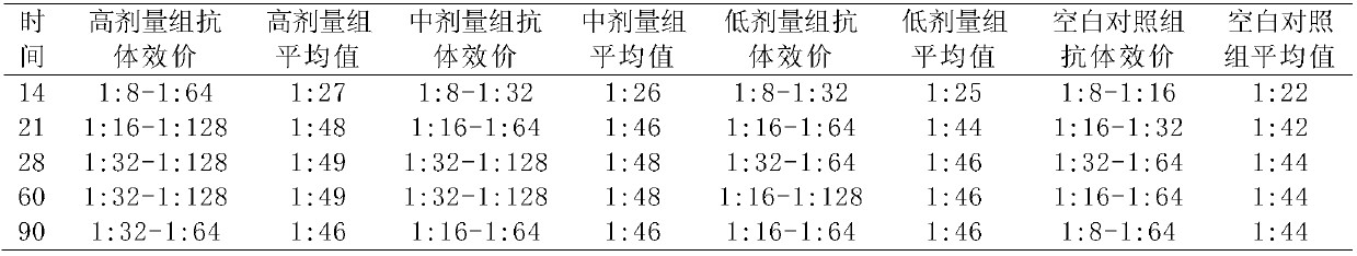 Oral liquid of Chinese herbal medicine for enhancing immunity of raccoons