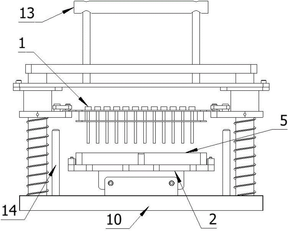 Bacteria drug-resistance detection system and operation method thereof