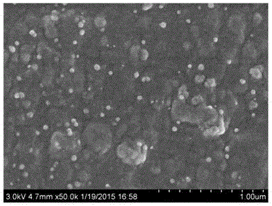 Anti-bacterial and anti-inflammatory natural biological material and application thereof