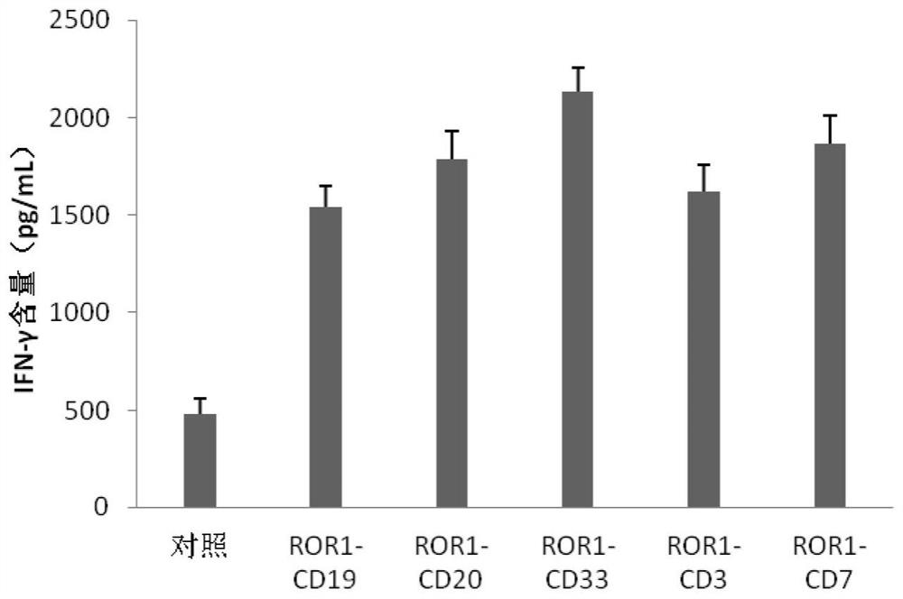 Bispecific chimeric antigen receptor (CAR) targeting ROR1 and CD33 and application thereof