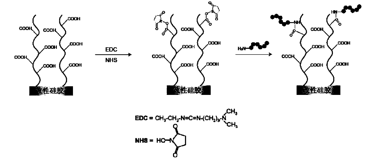 Polypeptide, detection device containing polypeptide, and detection kit containing polypeptide